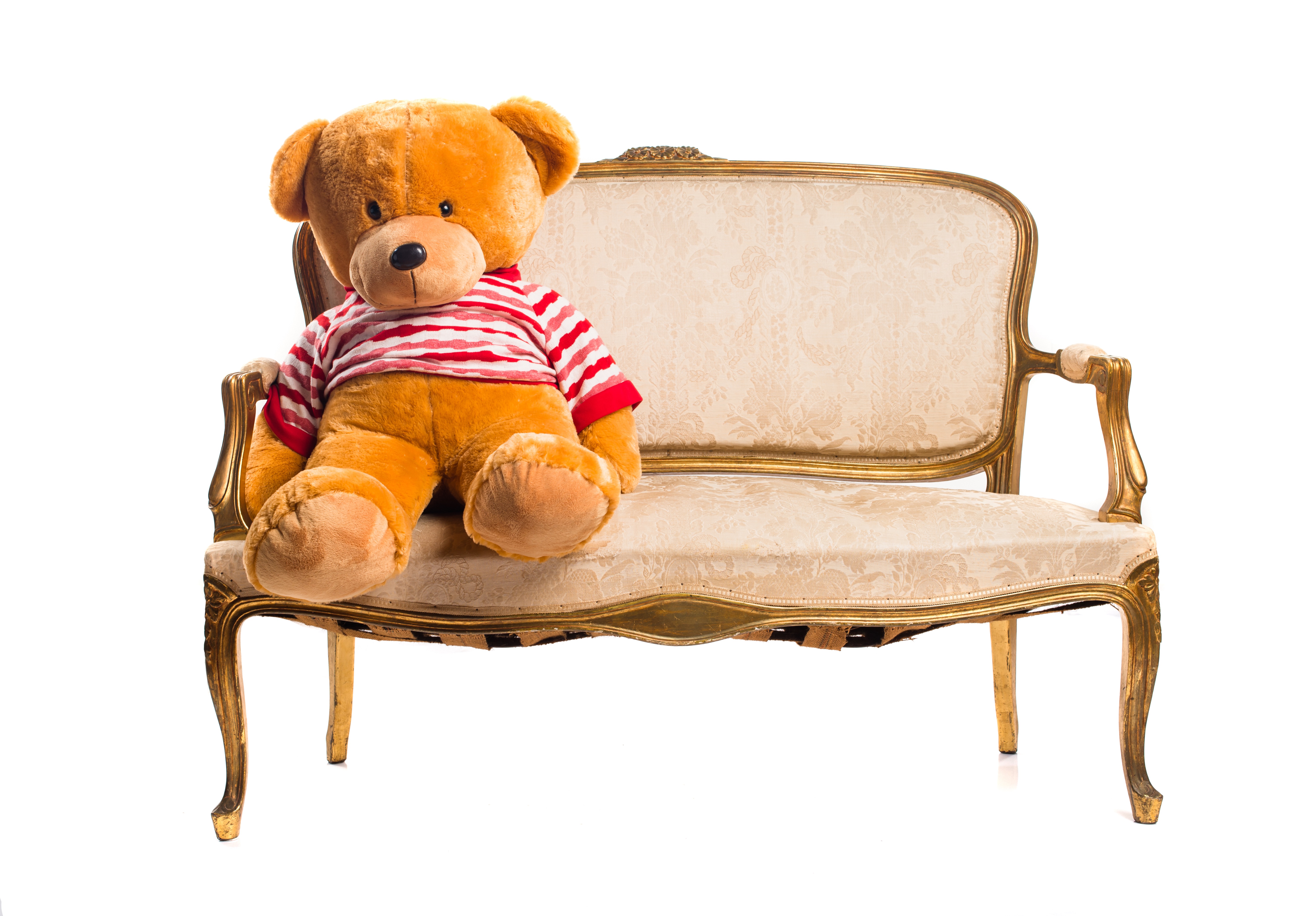 teddy-sitting-vintage-armchair